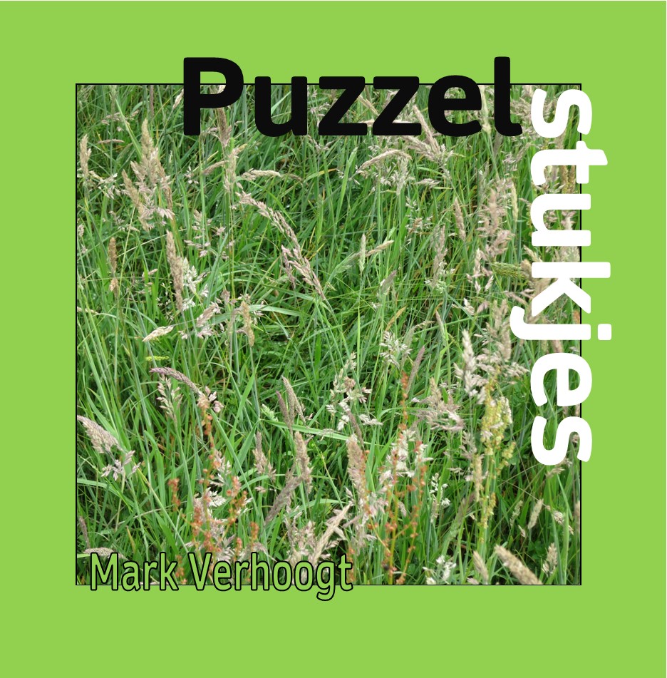 Deze afbeelding heeft een leeg alt-atribuut; de bestandsnaam is 211008-puzzelstukjes-omslag-voorkant-1.jpg